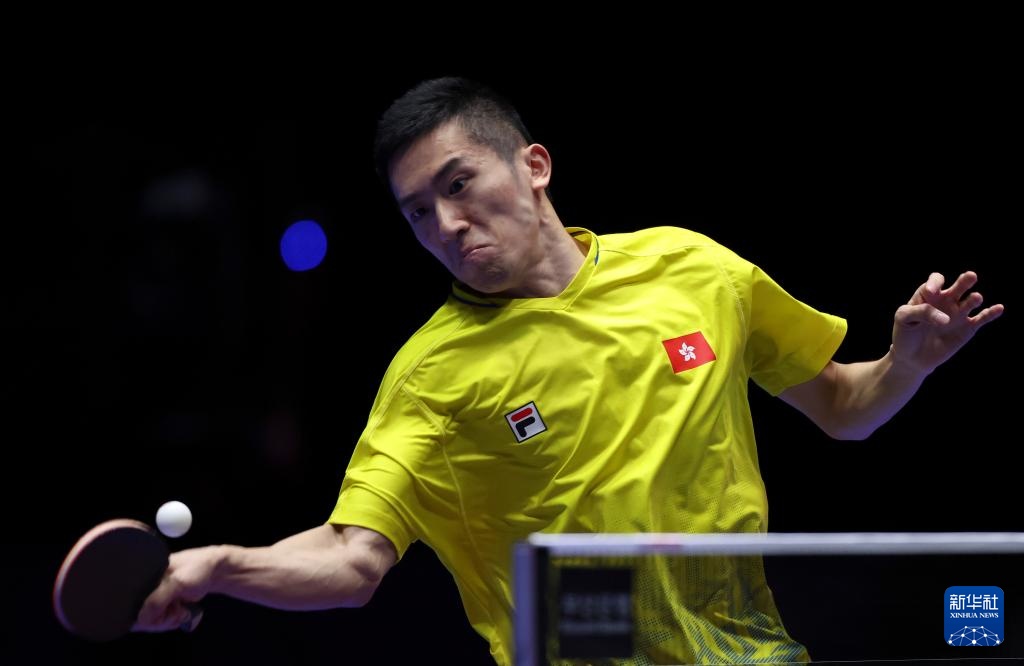 苑丽颖在场 苑丽颖在场